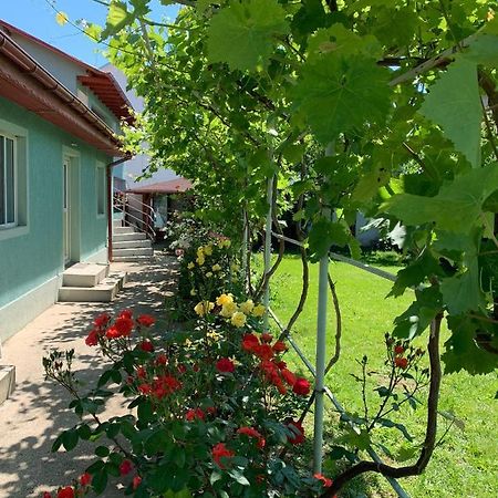 Hotel Casa Pestelui Două Mai Esterno foto