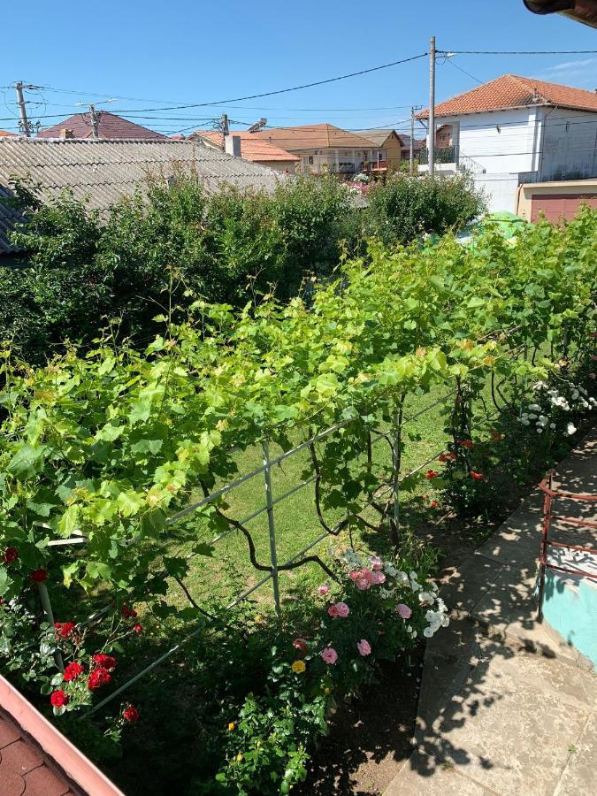 Hotel Casa Pestelui Două Mai Esterno foto